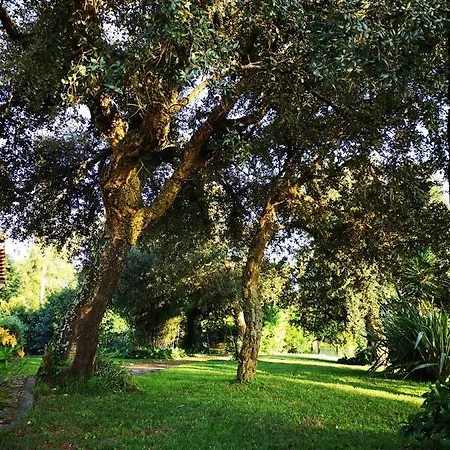 Casa de hóspedes Porto Natura
