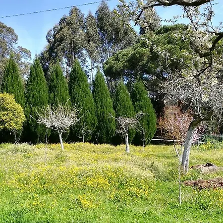 Casa de hóspedes Porto Natura *
