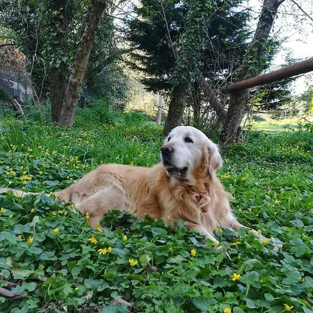 Porto Natura *